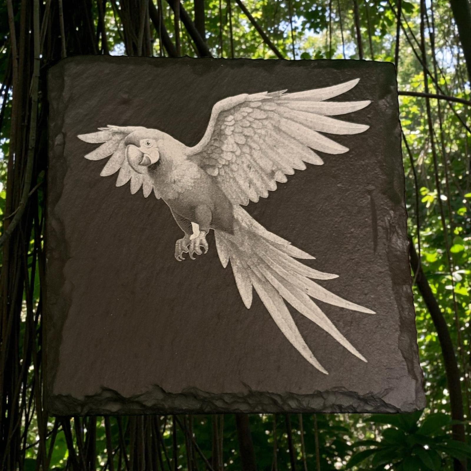 Edition Slate Parrot Drinks Coasters