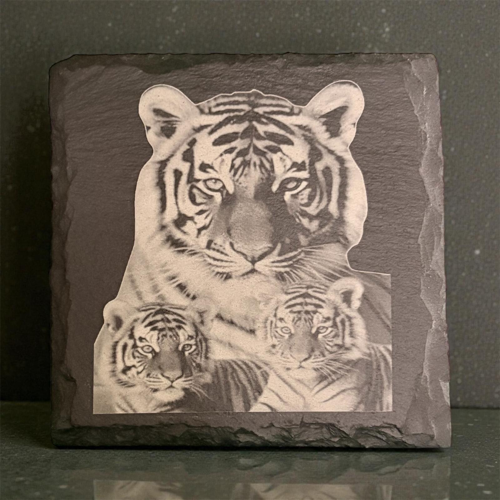 Limited Edition Wildlife Slate Drinks Coasters ( 4 pack )