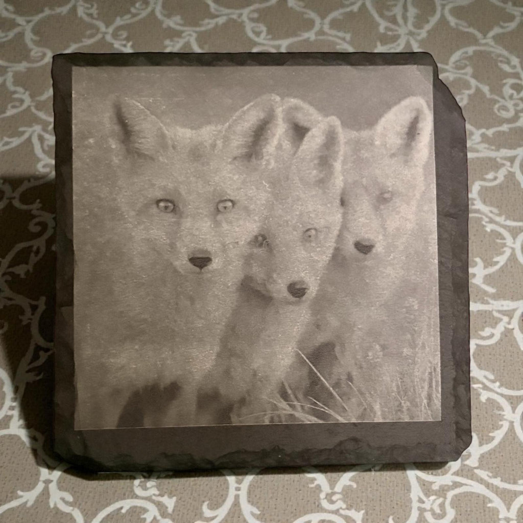 Limited Edition Wildlife Slate Drinks Coasters ( 4 pack )