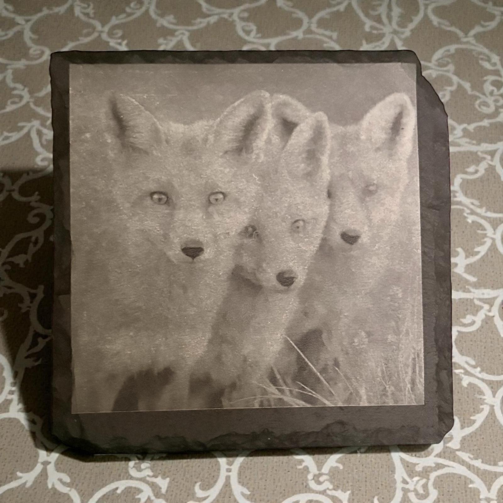 Limited Edition Wildlife Slate Drinks Coasters ( 4 pack )