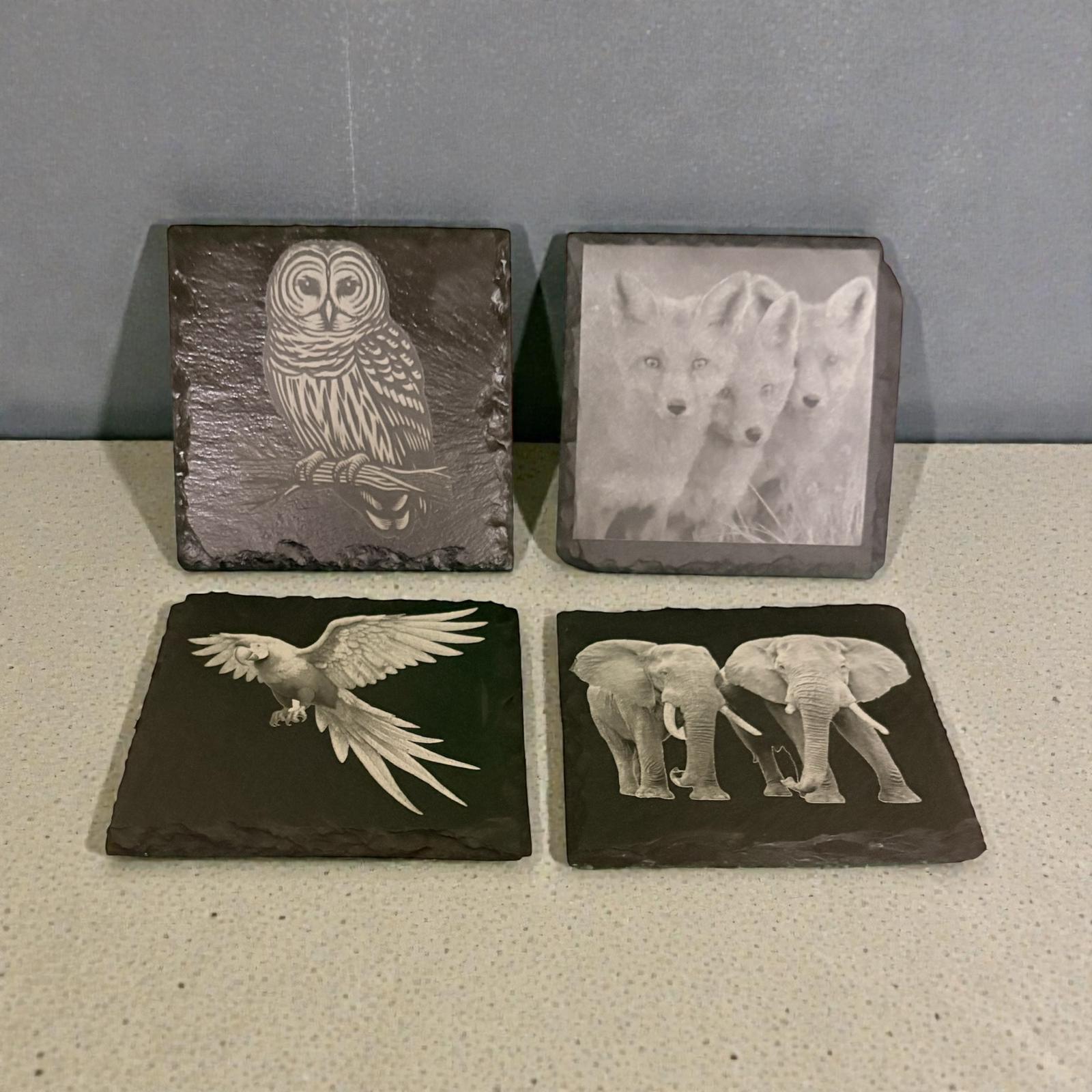 Limited Edition Wildlife Slate Drinks Coasters ( 4 pack )