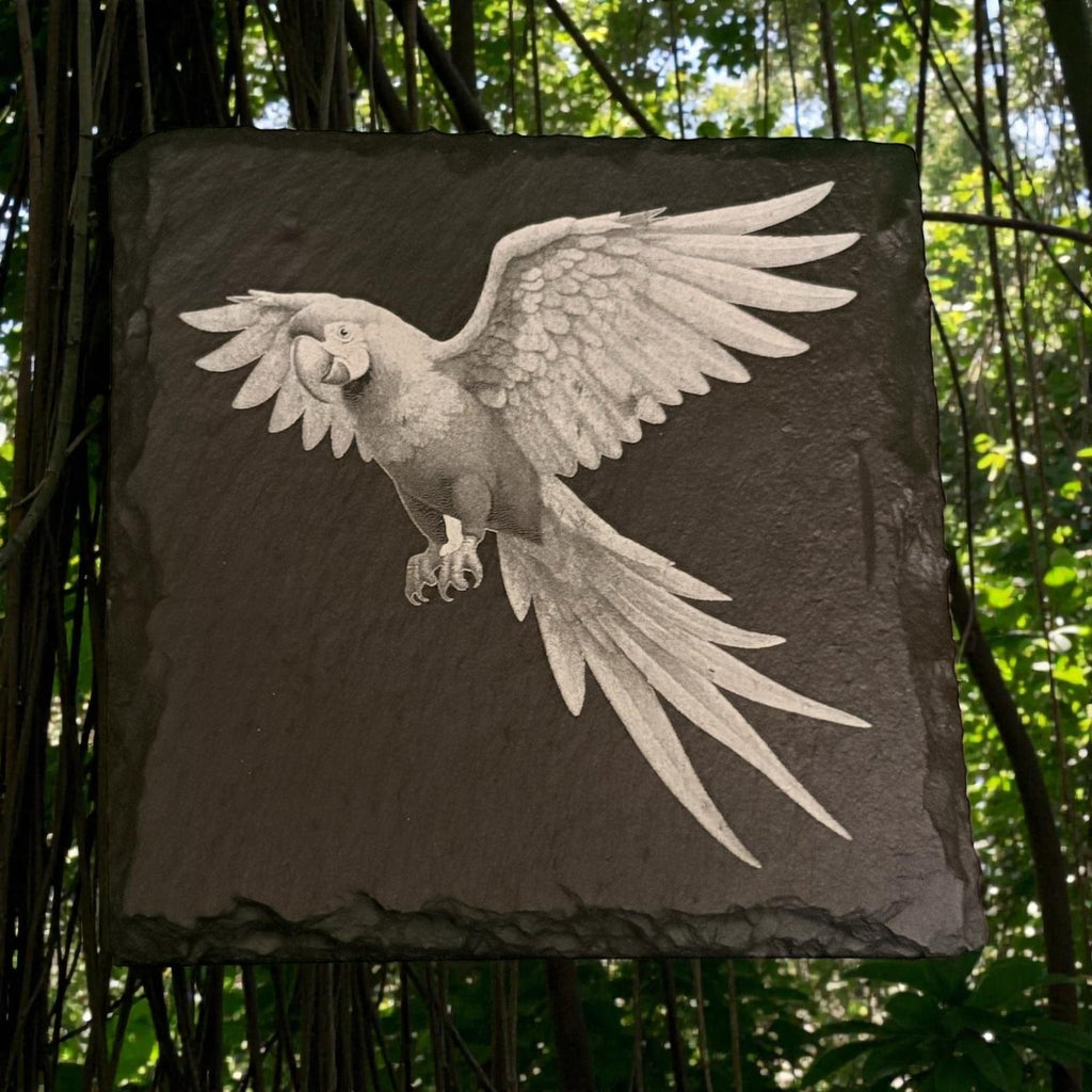Limited Edition Wildlife Slate Drinks Coasters ( 4 pack )