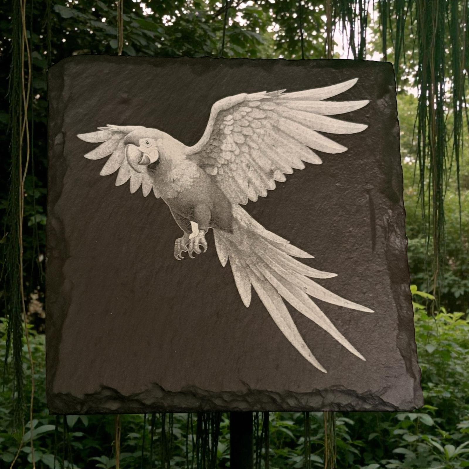 Edition Slate Parrot Drinks Coasters