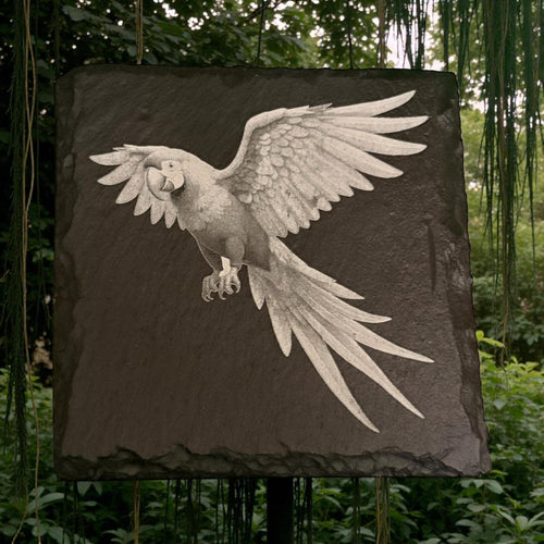 Edition Slate Parrot Drinks Coasters