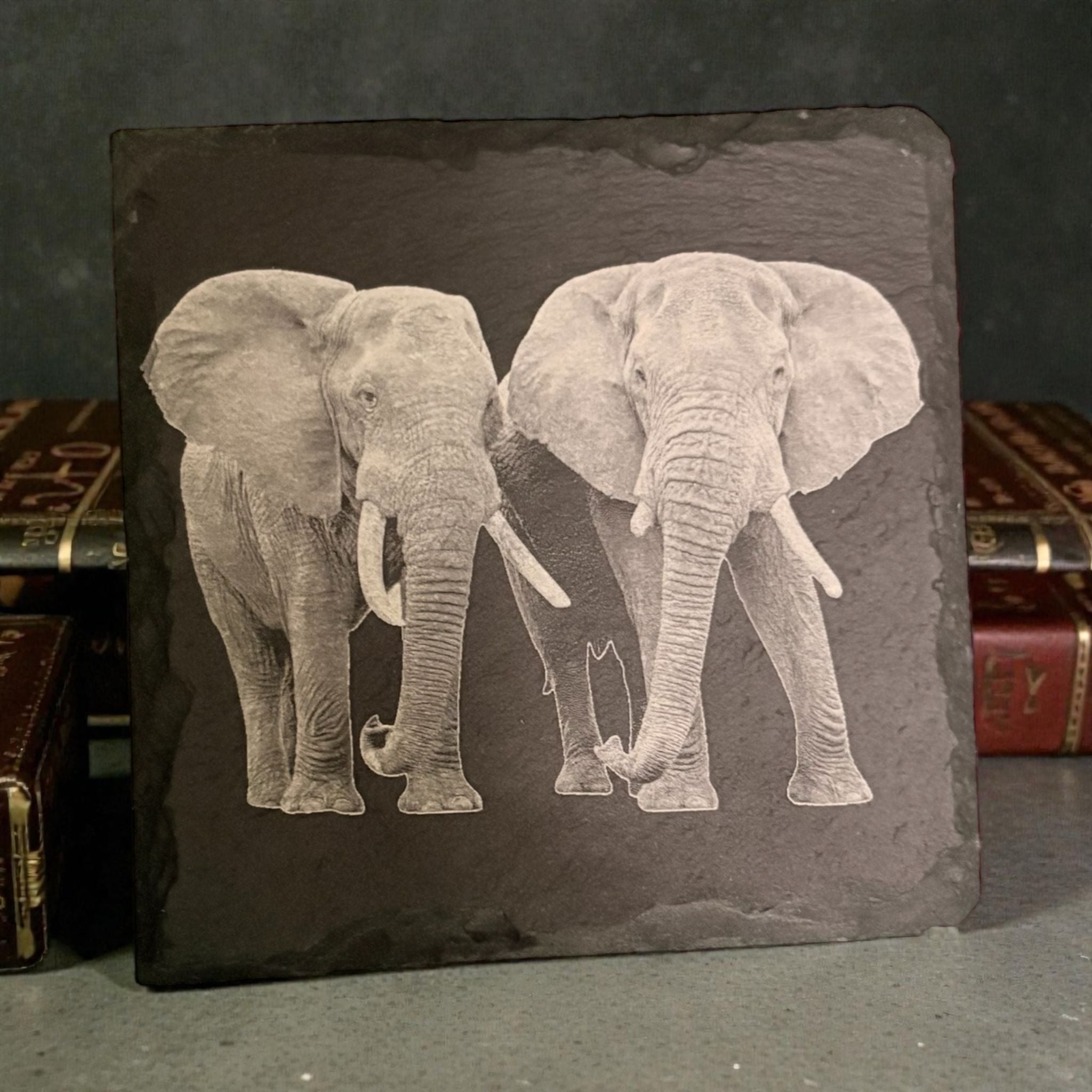 Limited Edition Wildlife Slate Drinks Coasters ( 4 pack )